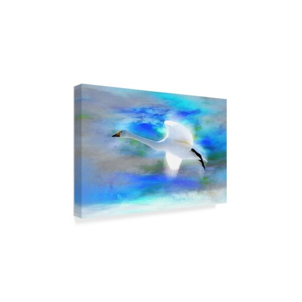 Ata Alishahi 'White Swan Fly' Canvas Art,16x24